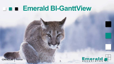 An Example of Gantt Charts Made Using Emerald's BI-GanttView